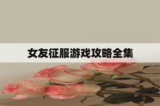 女友征服游戏攻略全集