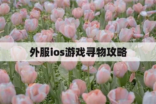 外服ios游戏寻物攻略