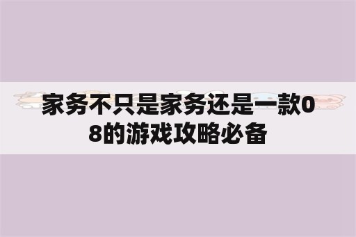 家务不只是家务还是一款08的游戏攻略必备