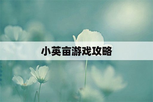 小英亩游戏攻略