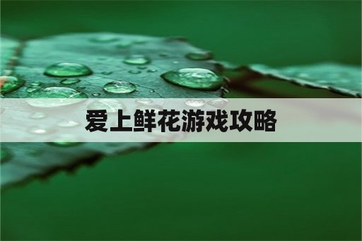 爱上鲜花游戏攻略