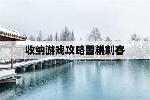 收纳游戏攻略雪糕刺客