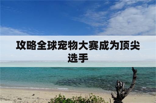 攻略全球宠物大赛成为顶尖选手