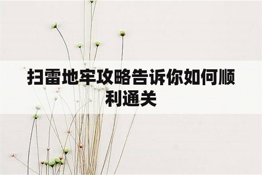 扫雷地牢攻略告诉你如何顺利通关