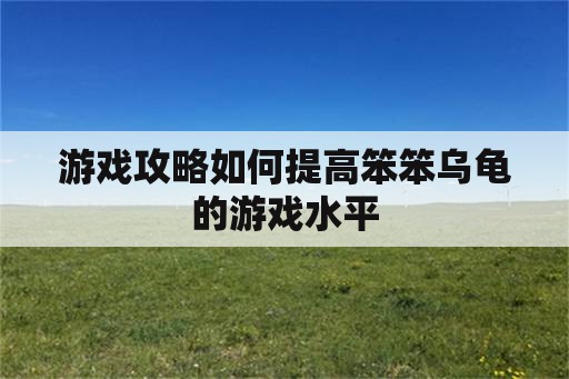 游戏攻略如何提高笨笨乌龟的游戏水平