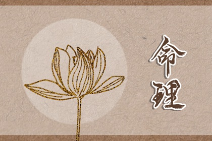 2024年小年出生的人命运 小年出生的人命硬吗 2024年小年出生的人命运 小年出生的人命硬吗