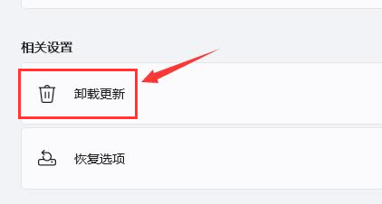 Windows11怎样卸载闪屏更新