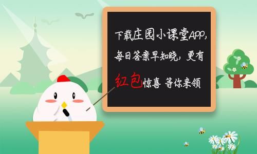 不小心被热油烫到起了水疱正确的处理方式是2020年11月26日蚂蚁庄园小课堂答案