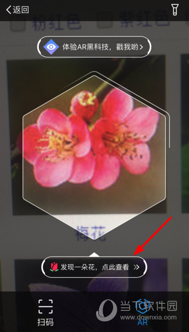 支付宝AR识花怎么玩支付宝AR识花玩法介绍