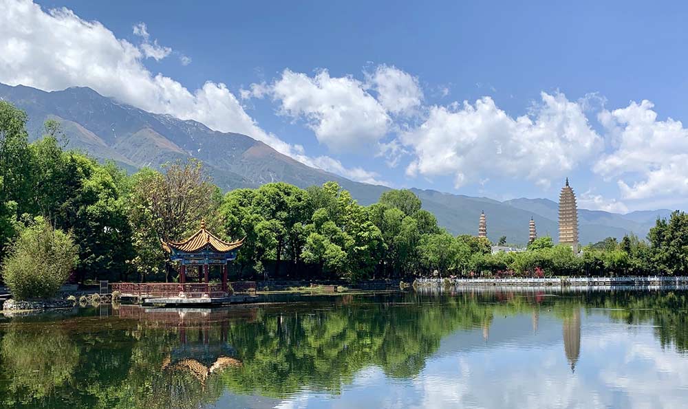 上海野生动物园门票价格