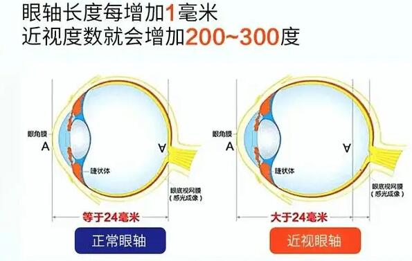 蚂蚁新村小课堂8月15日答案最新