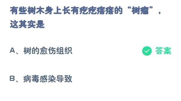 蚂蚁庄园：有些树木身上长有疙疙瘩瘩的树瘤这其实是