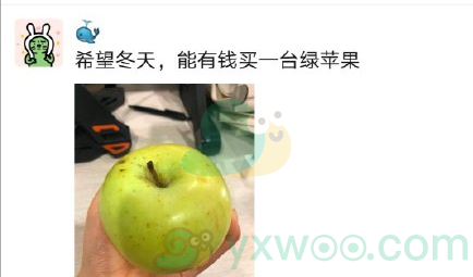 微博冬天的第一个苹果是什么梗
