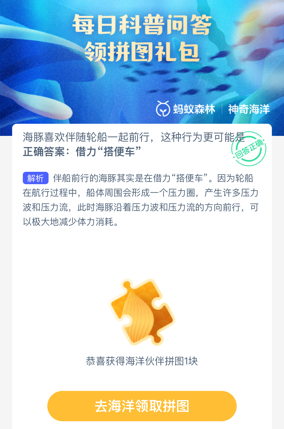 为什么海豚喜欢伴随轮船一起前行