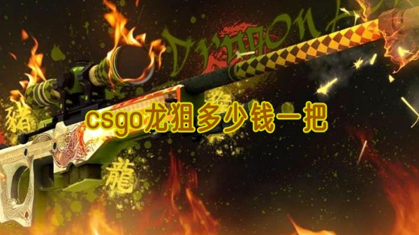 csgo龙狙多少钱一把