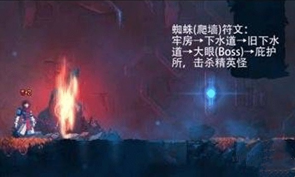 死亡细胞蜘蛛符文怎么获得