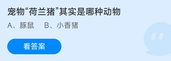 蚂蚁庄园宠物“荷兰猪”5月7日答案