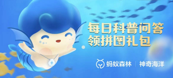 长须鲸有“深海猎犬”之称，主要是因为