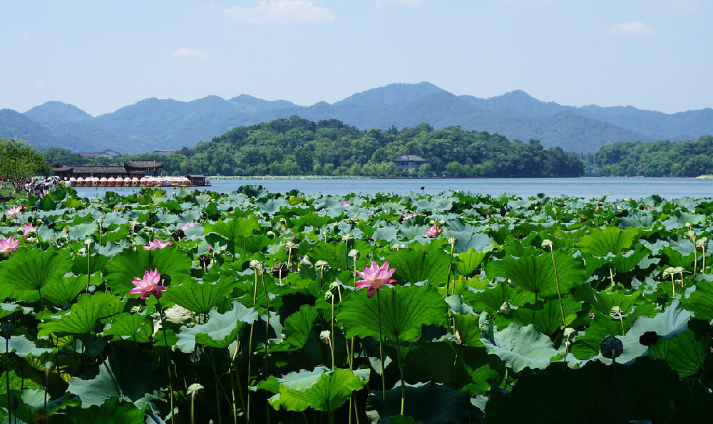 龙头山森林公园（寿光自驾游最好的景点）