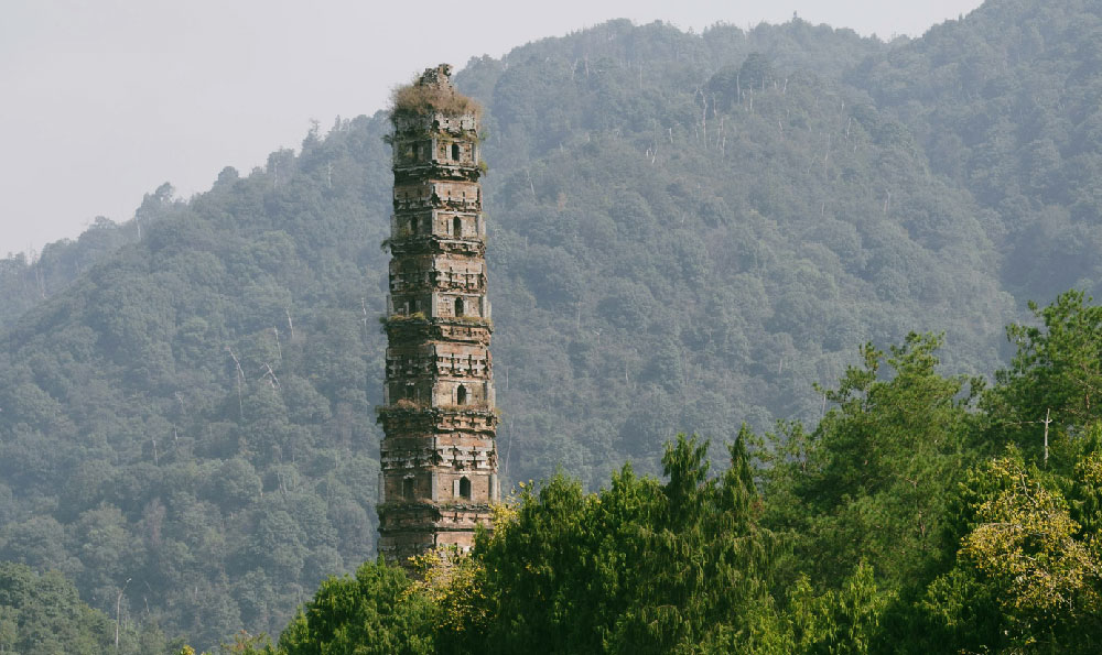 西溪湿地公园（杭州西溪湿地公园）