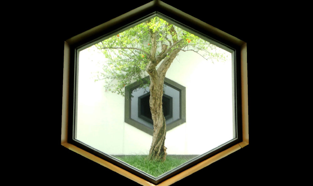 中国早晨8点新西兰几点