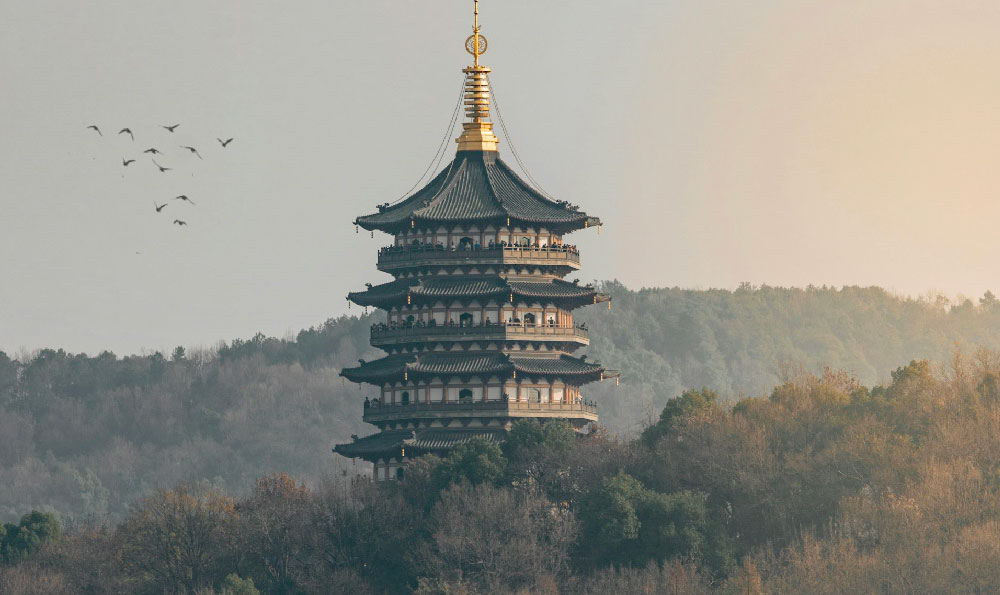 碧峰峡动物园（去雅安碧峰峡动物园停车攻略）