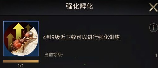 小小蚁国游戏中期进化怎么选择