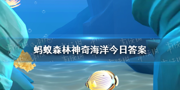 支付宝蚂蚁森林神奇海洋7月15日答案