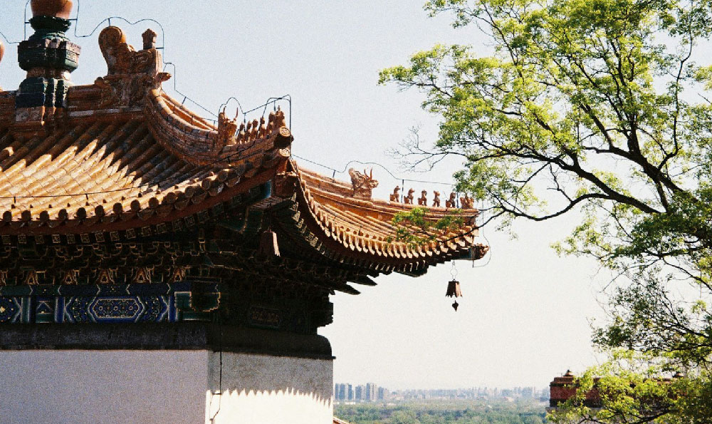 哈尔滨川菜（十大川菜馆加盟店排行榜）