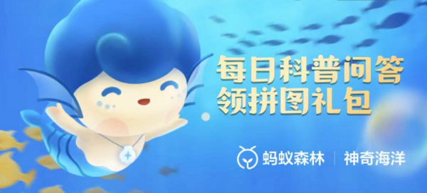 以下哪种海洋生物有“海黄瓜”之称