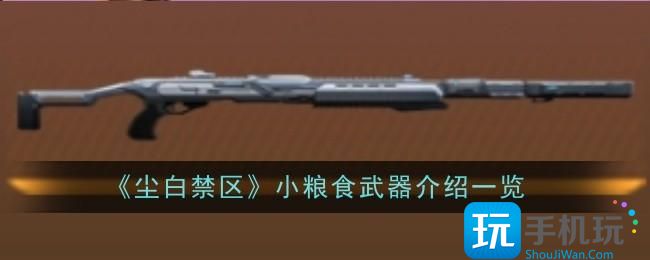 尘白禁区小粮食武器怎么样