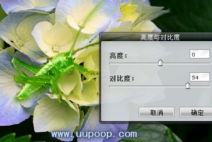 PhotoshopCS3是什么PhotoshopCS3怎么拼图