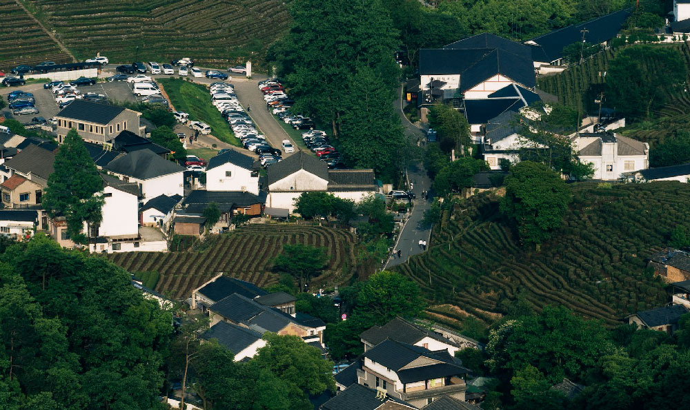 7月西双版纳攻略自助游攻略