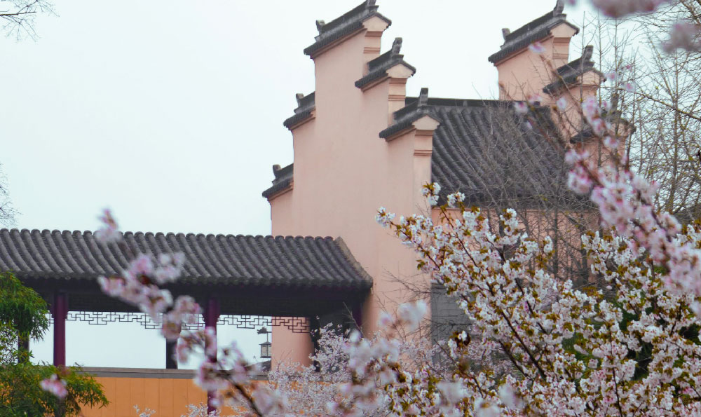 富阳免费一日游景点