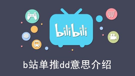 b站单推dd意思介绍