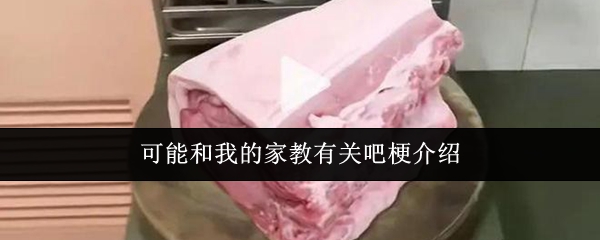 可能和我的家教有关吧梗介绍