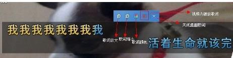 YY伴侣的详细使用过程讲解