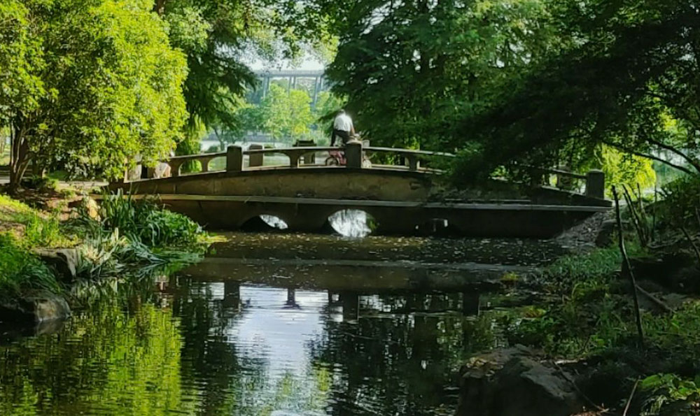 浙江莫干山（神农架景区有哪些主要景点）