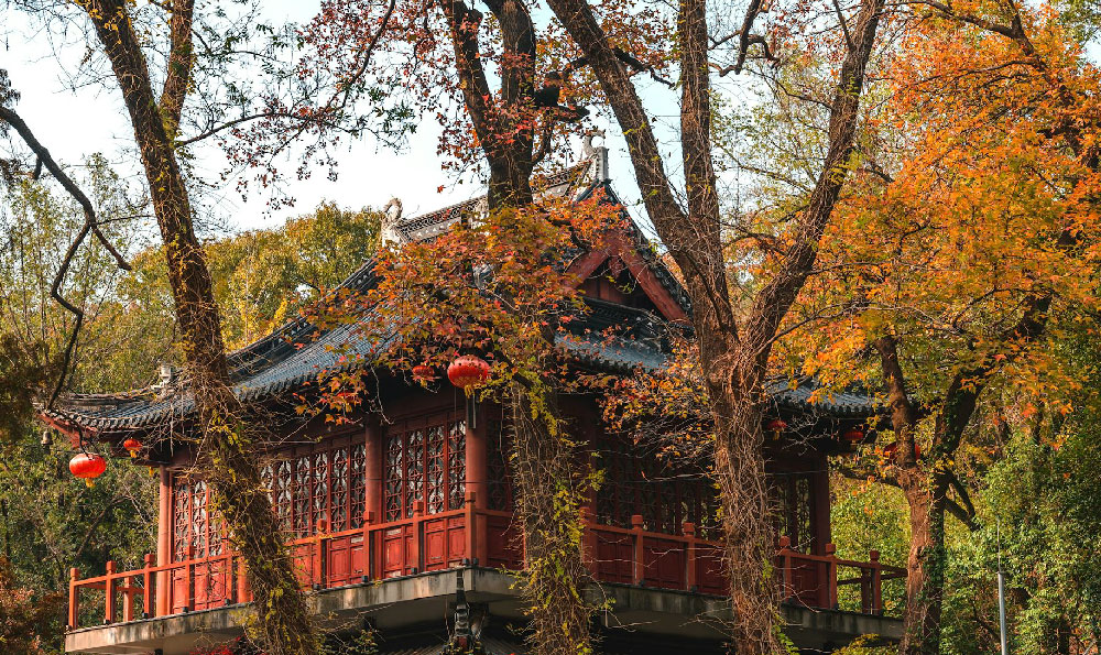 杭州到婺源经过哪些地方?这是一场穿越时光的旅行
