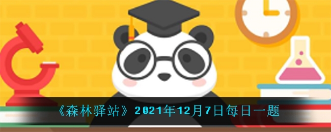 森林驿站2021年12月9日每日一题答案分享