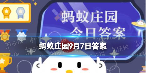 以下哪种垃圾是可以回收再利用的蚂蚁庄园9月7日答案最新