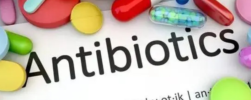 抗生素是每日两次还是三次？