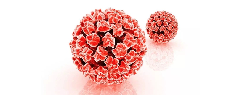HPV病毒会引起疤痕体质