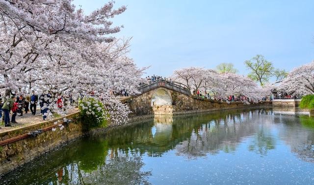 太湖鼋头渚风景区旅游攻略分享（无锡鼋头渚好玩吗）