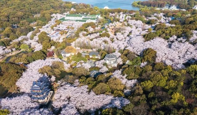 太湖鼋头渚风景区旅游攻略分享（无锡鼋头渚好玩吗）