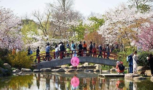 太湖鼋头渚风景区旅游攻略分享（无锡鼋头渚好玩吗）