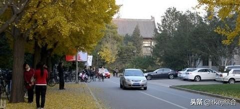 尼康d3100使用技巧分享（d3100使用技巧有哪些）