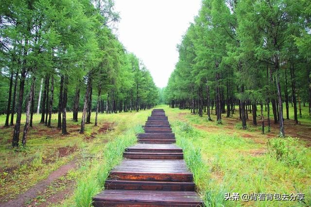 鄂尔多斯旅游景点大全分享（内蒙古必游的十大景点）