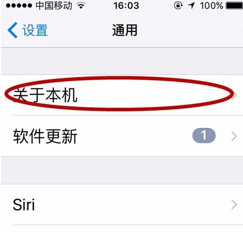 苹果怎么查激活时间呢（iPhone 11怎么查询激活时间）