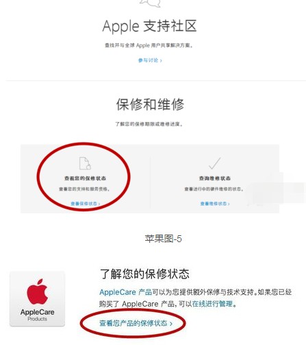 苹果怎么查激活时间呢（iPhone 11怎么查询激活时间）